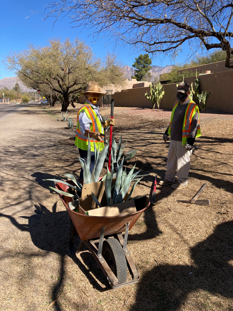 Picture